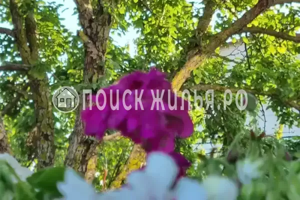 Дом под ключ «Calipso»