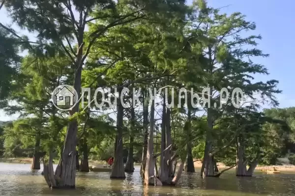 Апартаменты «Шикарные апартаменты с бассейнами во дворе»