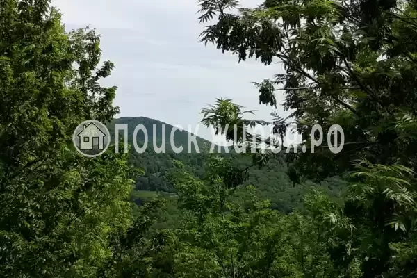 Частный сектор «Бревенчатый дом в лесу у моря»