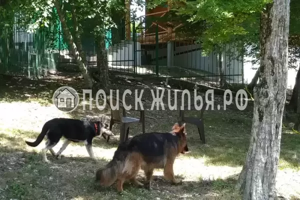 Частный сектор «Бревенчатый дом в лесу у моря»