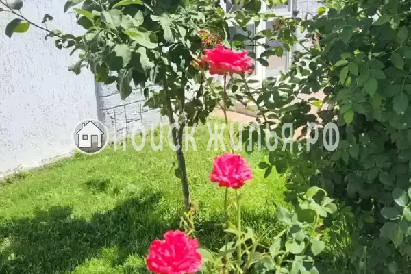 Апартаменты «ZaChill» Апартаменты «ZaChill»