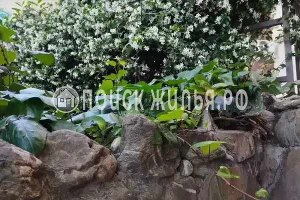 Апартаменты «-студия»