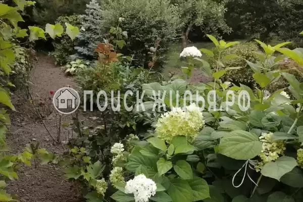 Дом под ключ «До 12 человек»