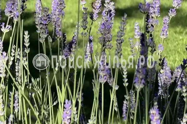 Частный сектор «Дача у моря с выходом на дикий пляж» Частный сектор «Дача у моря с выходом на дикий пляж»