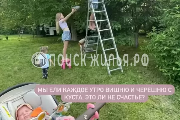 Частный сектор «Дача у моря с выходом на дикий пляж» Частный сектор «Дача у моря с выходом на дикий пляж»