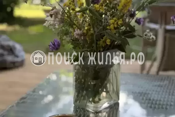 Частный сектор «Дача у моря с выходом на дикий пляж» Частный сектор «Дача у моря с выходом на дикий пляж»