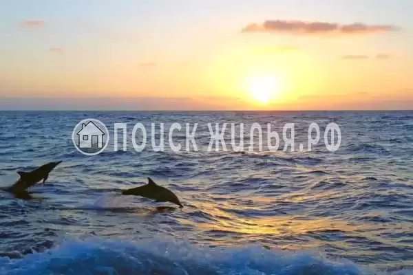 Апартаменты «С видом на море»