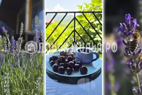 Дом под ключ «Лаванда» Дом под ключ «Лаванда»