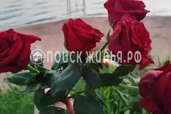 Частный сектор «Домик на Азове»