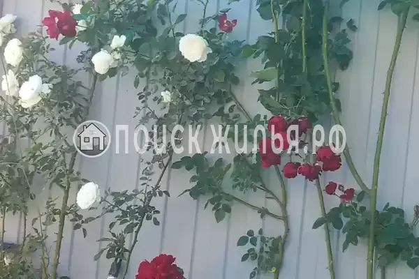 Апартаменты «На земле»