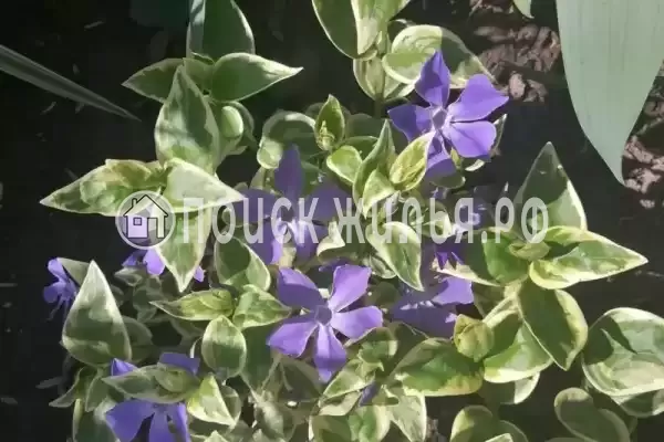 Дом под ключ «На Приморской» Дом под ключ «На Приморской»