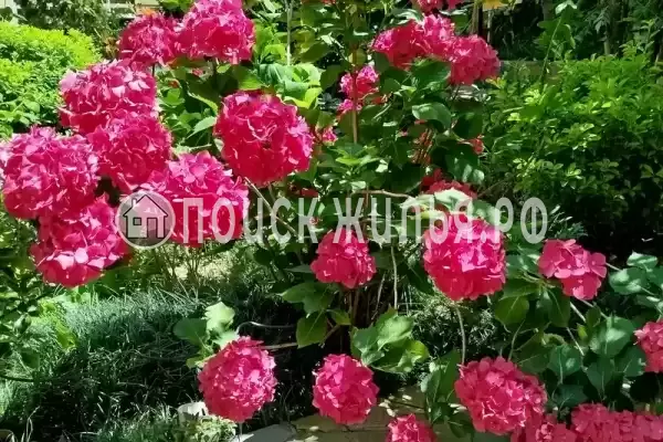 Дом под ключ «Бирюза» Дом под ключ «Бирюза»