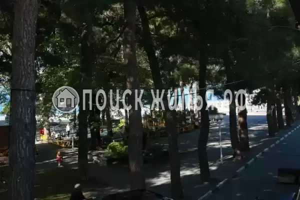 Частный сектор «Номер у самого моря, в зеленом парке. Парковка» Частный сектор «Номер у самого моря, в зеленом парке. Парковка»