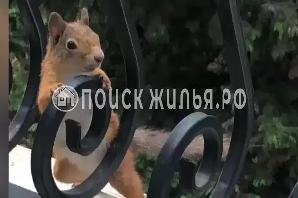 Частный сектор «В ЖК Покровский парк»