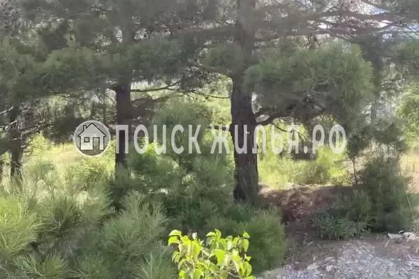 Квартира «Прованс» Квартира «Прованс»