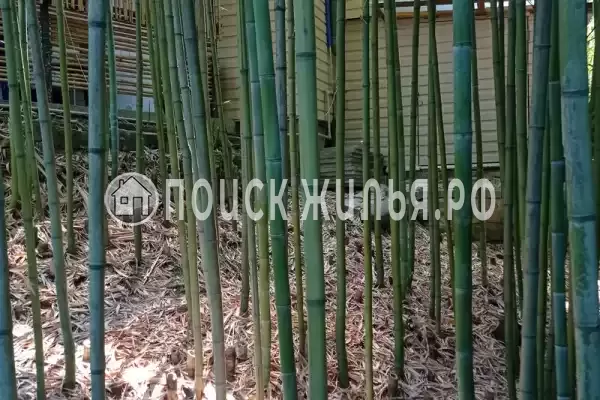 Дом под ключ «Визр» Дом под ключ «Визр»