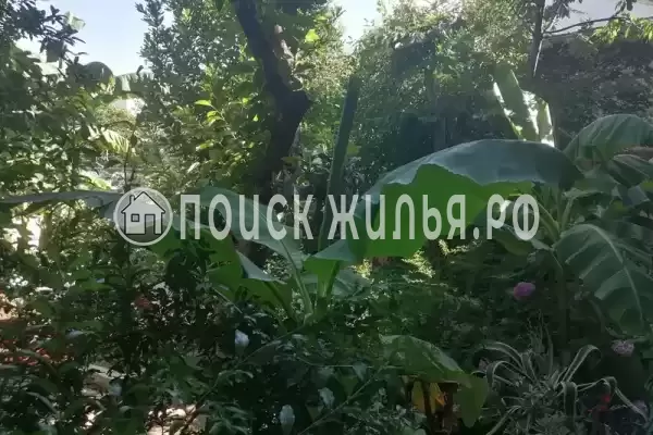 Частный сектор «Дом с садом»