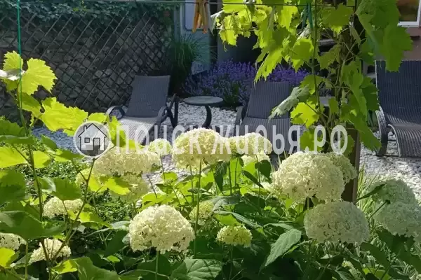 Частный сектор «Платинум» Частный сектор «Платинум»