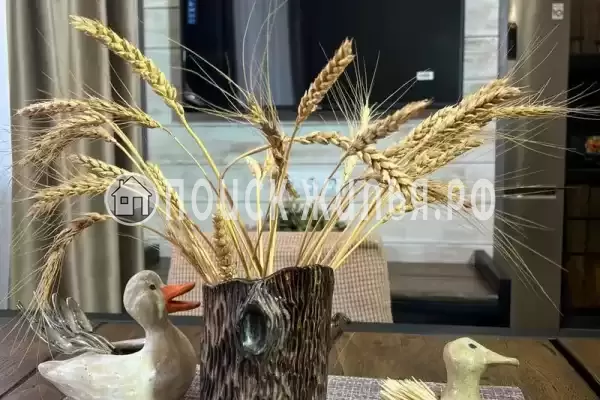 Квартира «Три Света»