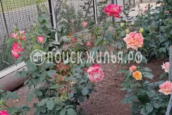 Частный сектор «Домик на Суворовском»