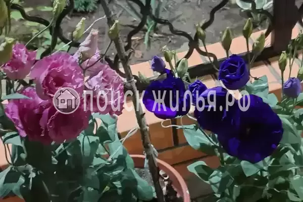 Дом под ключ «Коттедж под ключ»