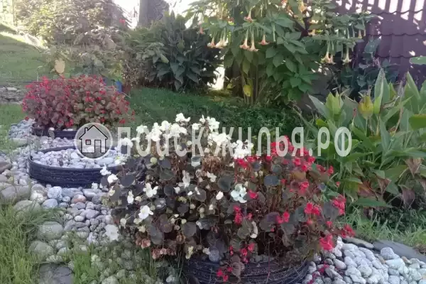 Частный сектор «На Фруктовой»