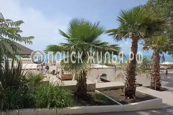 Частный сектор «Евродвушка на первой береговой линии»