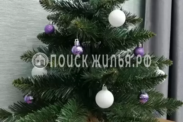 Апартаменты «В Сириусе» Апартаменты «В Сириусе»