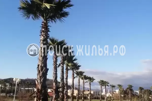 Апартаменты «В Сириусе» Апартаменты «В Сириусе»