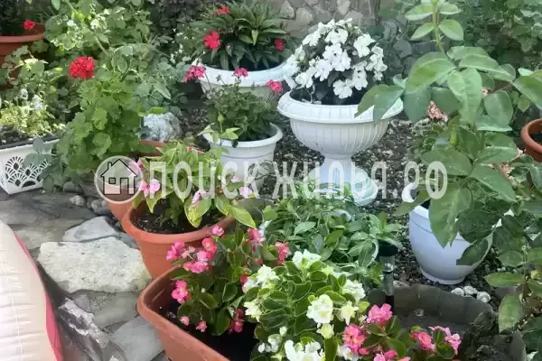 Дом под ключ «Этаж под ключ, с бассейном» Дом под ключ «Этаж под ключ, с бассейном»