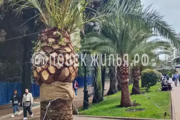 Частный сектор «У Лилии»