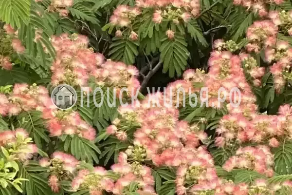 Квартира «С панорамным видом на горы» Квартира «С панорамным видом на горы»