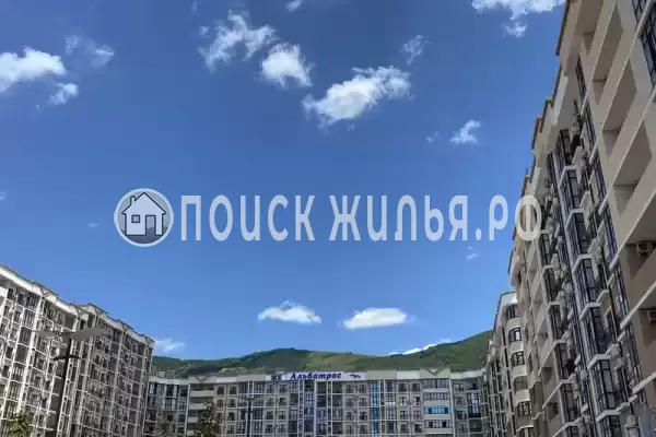 Квартира «ЖК Альбатрос» Квартира «ЖК Альбатрос»