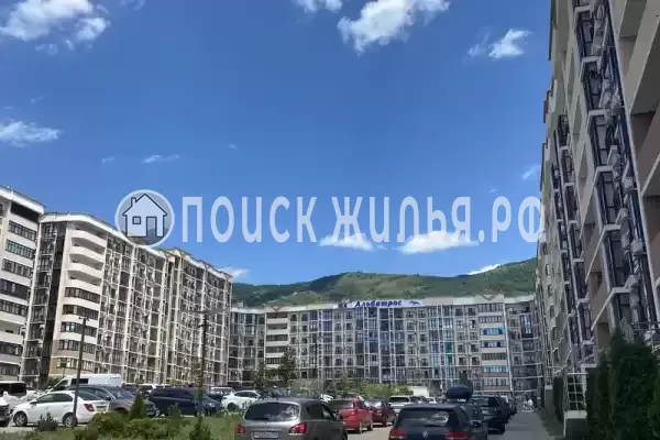 Квартира «ЖК Альбатрос» Квартира «ЖК Альбатрос»