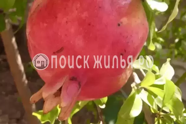 Дом под ключ «NeNaSevere» Дом под ключ «NeNaSevere»