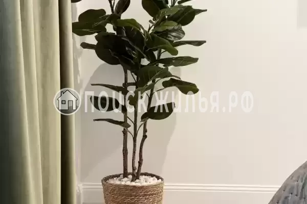 «У Степаныча» «У Степаныча»