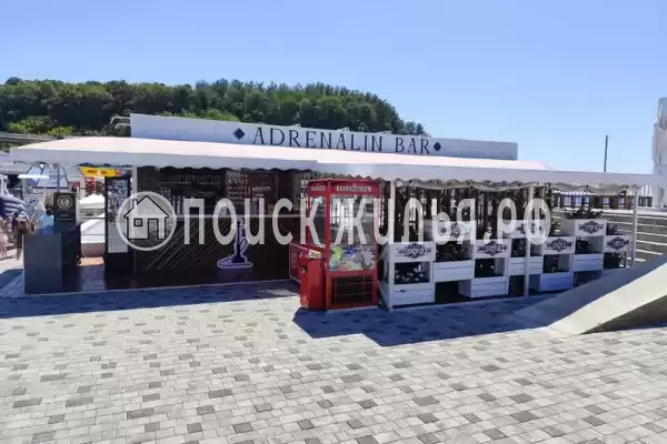 Апартаменты «Афалина» Апартаменты «Афалина»