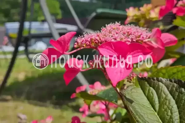 Дом под ключ «С бассейном» Дом под ключ «С бассейном»