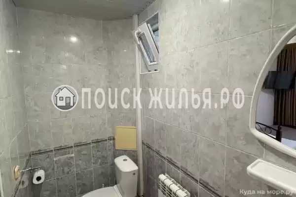 «Белый виноград» «Белый виноград»