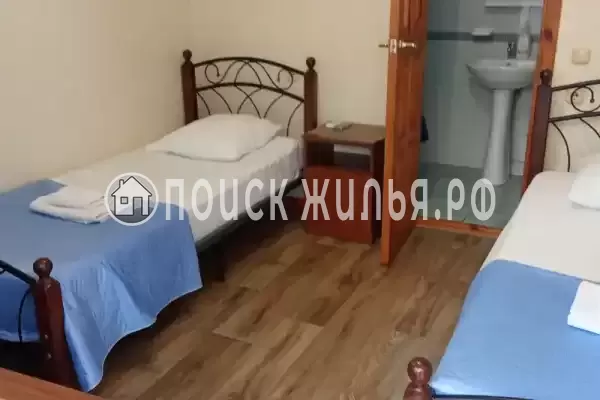 «Белый виноград» «Белый виноград»