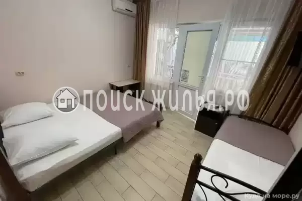 «Белый виноград» «Белый виноград»