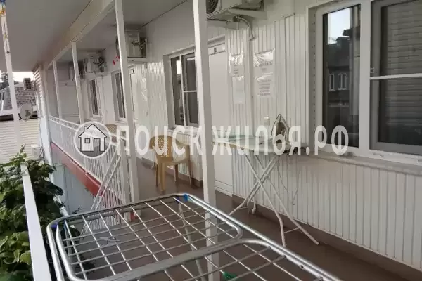 «Белый виноград» «Белый виноград»