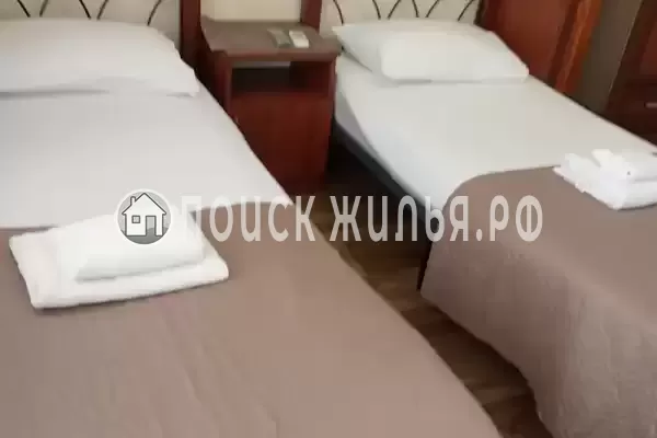 «Белый виноград» «Белый виноград»