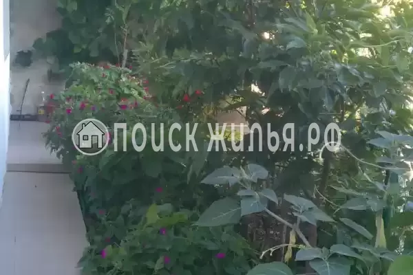 Квартира «2-х комнатная»