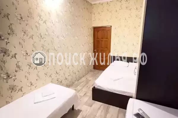 «Камелия 2» «Камелия 2»