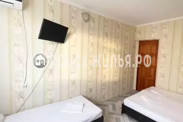 «Камелия 2» «Камелия 2»