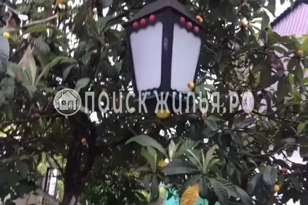 Гостевой дом «Бриз» Гостевой дом «Бриз»