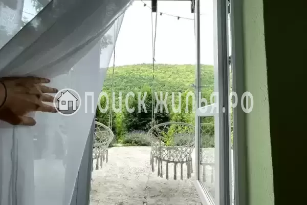 «Редкая птица»