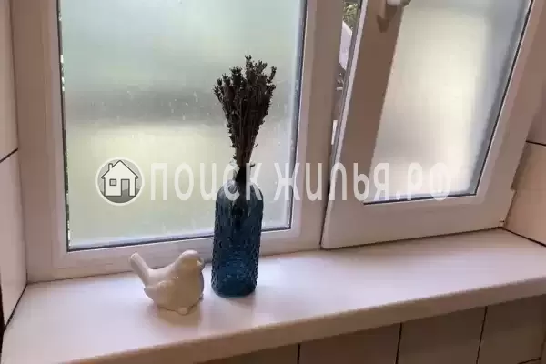 «Редкая птица»