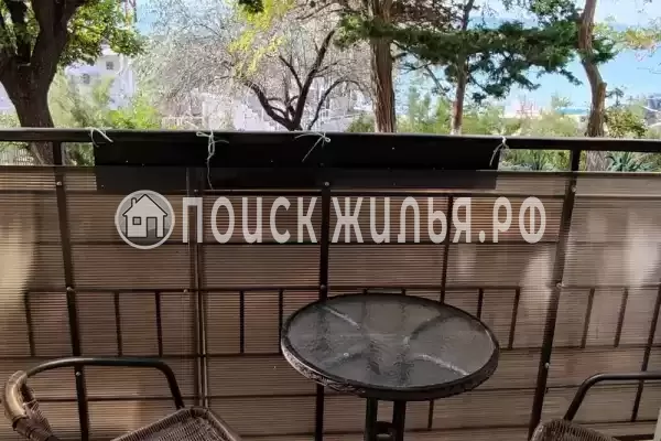 «Звездный берег» «Звездный берег»